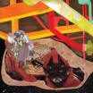 Wolf Parade 'At Mount Zoomer'